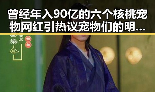 曾经年入90亿的六个核桃宠物网红引热议宠物们的明星生活