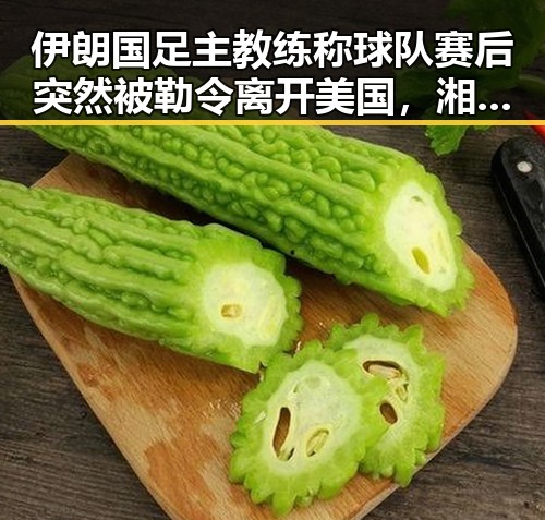 伊朗国足主教练称球队赛后突然被勒令离开美国，湘潭那片红色热土像追剧一样看懂大师